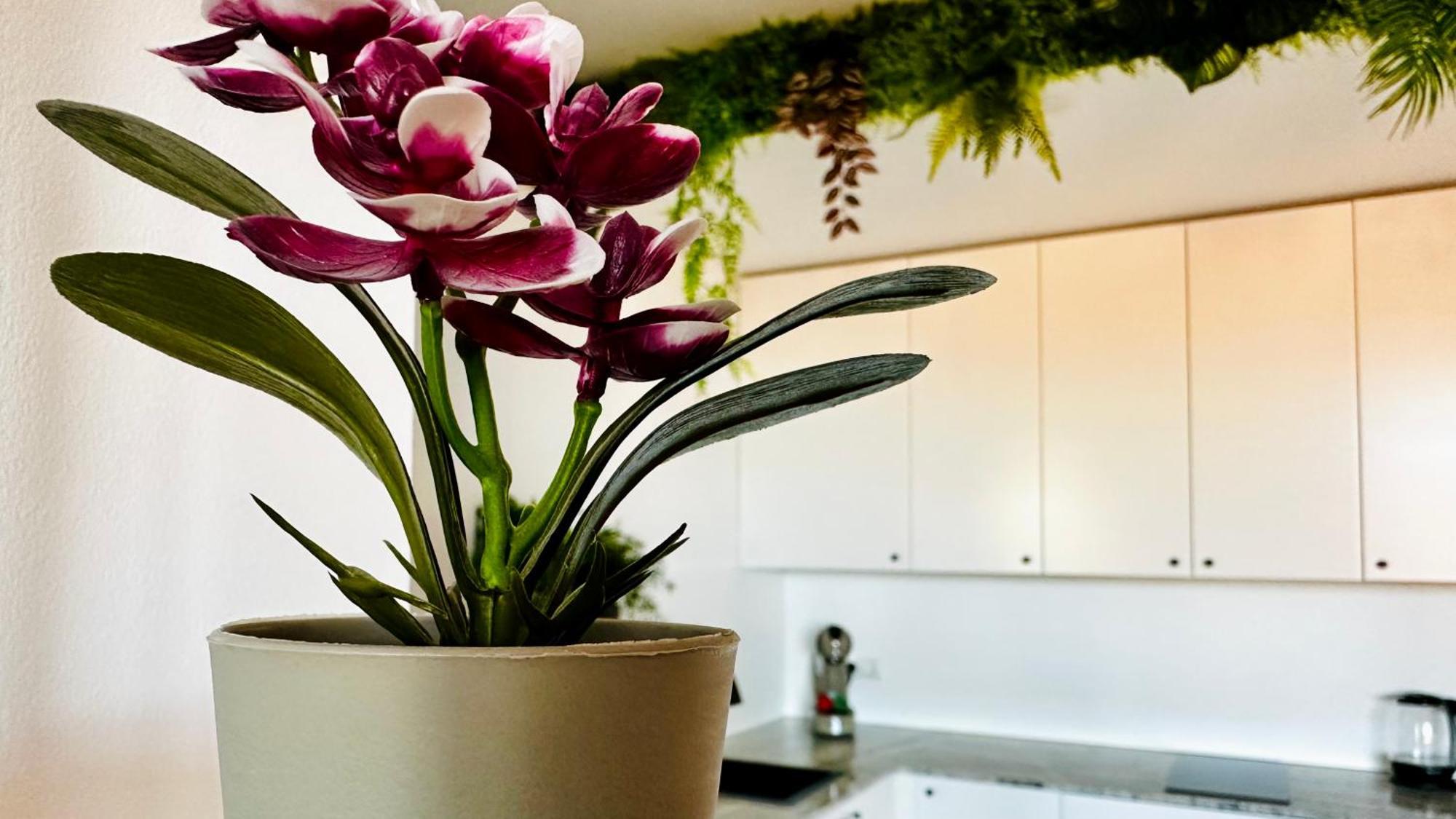 Garden Of Eden Modern Apartments - Apartello,Com Sveti Vlas Ngoại thất bức ảnh